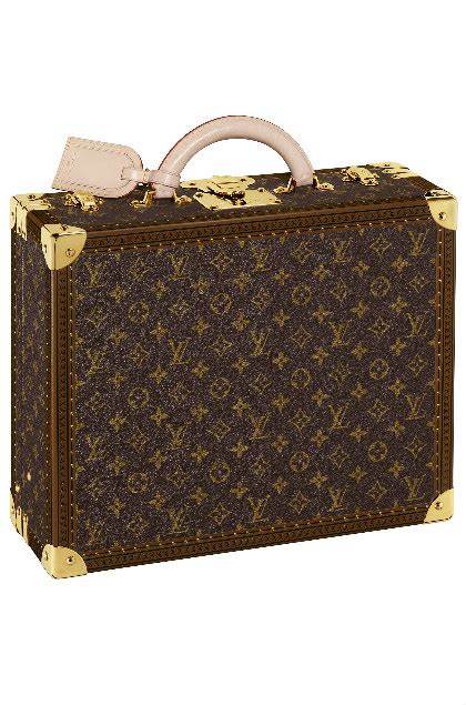 louis vuitton baule valigia|Louis Vuitton luggage.